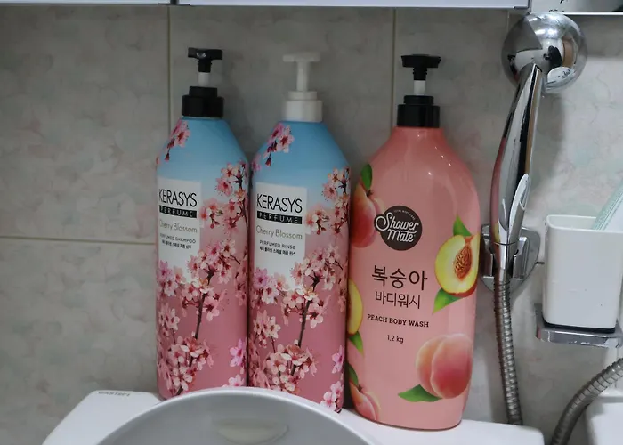 클로버